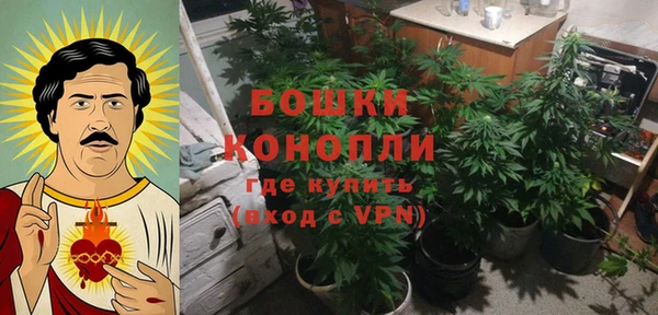 дживик Волоколамск
